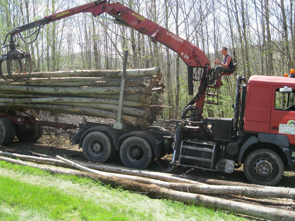 CHÂTAIGNIER EN GRUME, CAMION DE 50 STÈRES