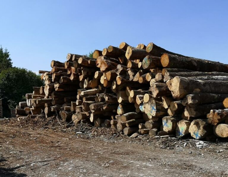 Camion de 20 stères, Hêtre Chêne Charme en grume